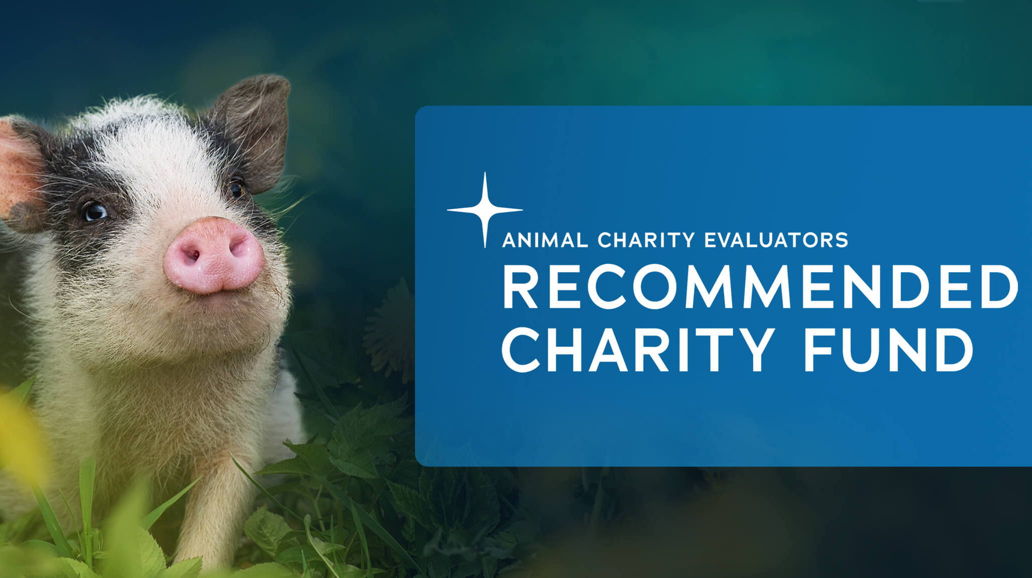 Animal Charity Evaluators Logo